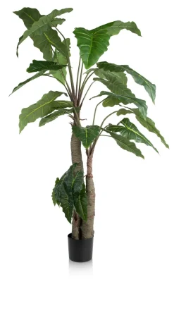 XOOON Alocasia Giant Tree H180cm kunstplant in de kleur Groen^ Woonaccessoires