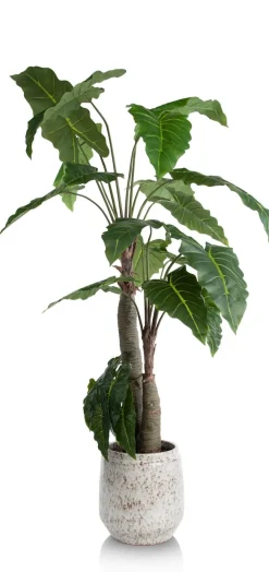 XOOON Alocasia Giant Tree H180cm kunstplant in de kleur Groen^ Woonaccessoires
