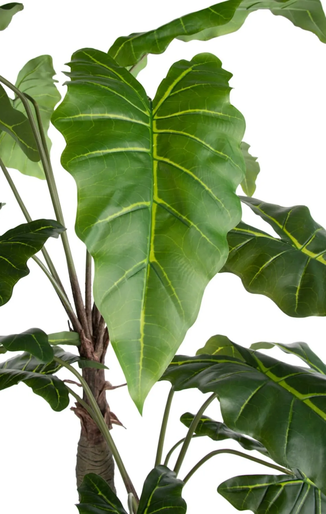 XOOON Alocasia Giant Tree H180cm kunstplant in de kleur Groen^ Woonaccessoires