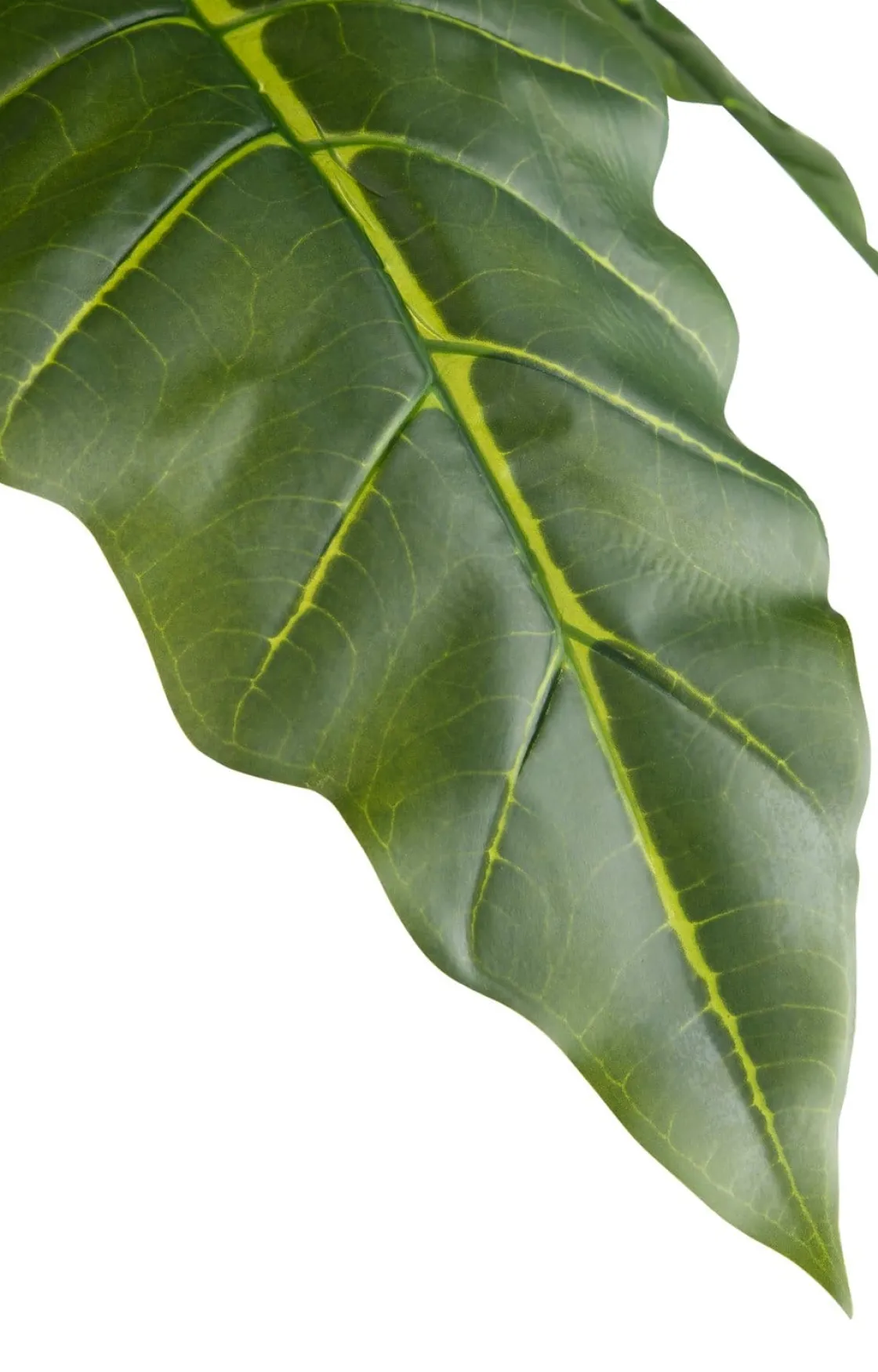 XOOON Alocasia Giant Tree H180cm kunstplant in de kleur Groen^ Woonaccessoires