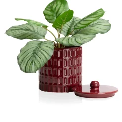 XOOON Bisko pot (H16.5cm) in de kleur rod - COCOmaison^ Woonaccessoires