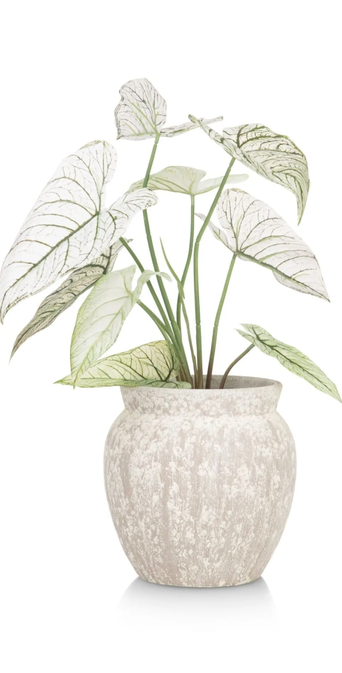 XOOON Braga pot H25cm in de kleur Beige - COCOmaison^ Woonaccessoires
