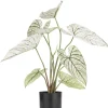 XOOON Caladium H60cm kunstplant in de kleur Groen - COCOmaison^ Woonaccessoires