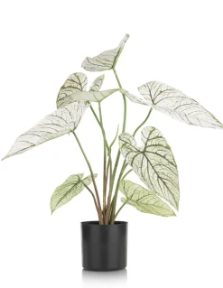 XOOON Caladium H60cm kunstplant in de kleur Groen - COCOmaison^ Woonaccessoires