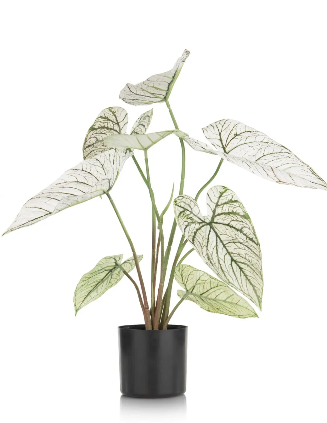 XOOON Caladium H60cm kunstplant in de kleur Groen - COCOmaison^ Woonaccessoires