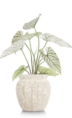 XOOON Caladium H60cm kunstplant in de kleur Groen - COCOmaison^ Woonaccessoires
