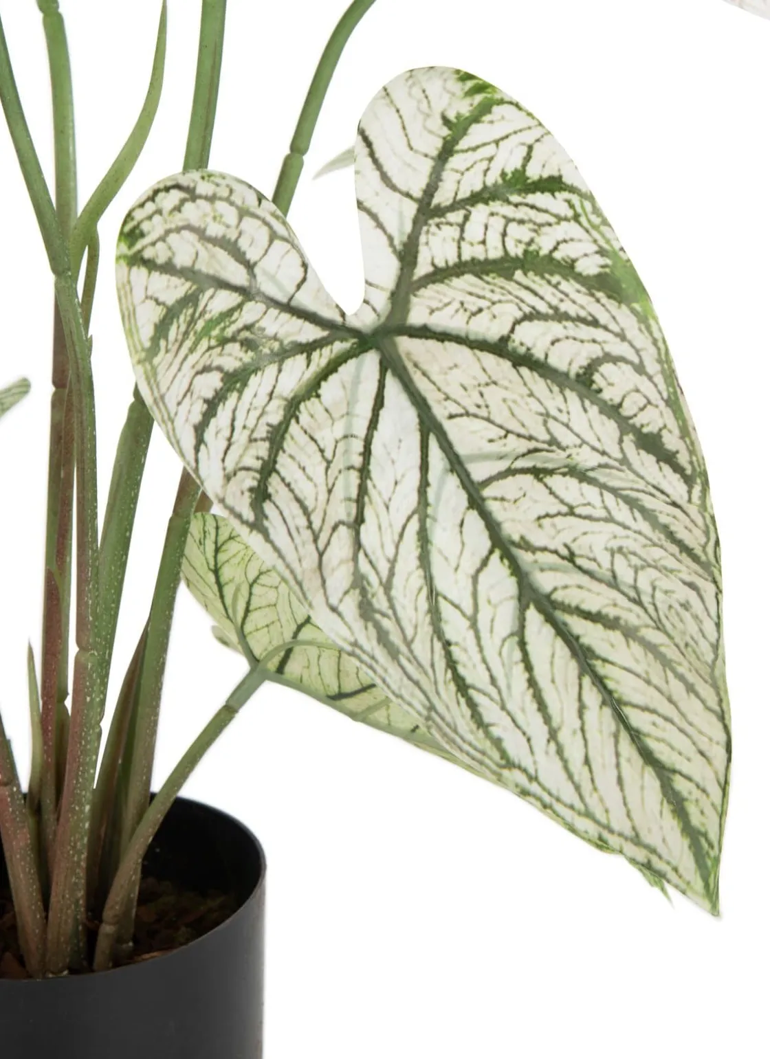 XOOON Caladium H60cm kunstplant in de kleur Groen - COCOmaison^ Woonaccessoires