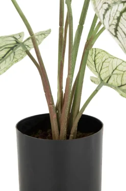 XOOON Caladium H60cm kunstplant in de kleur Groen - COCOmaison^ Woonaccessoires