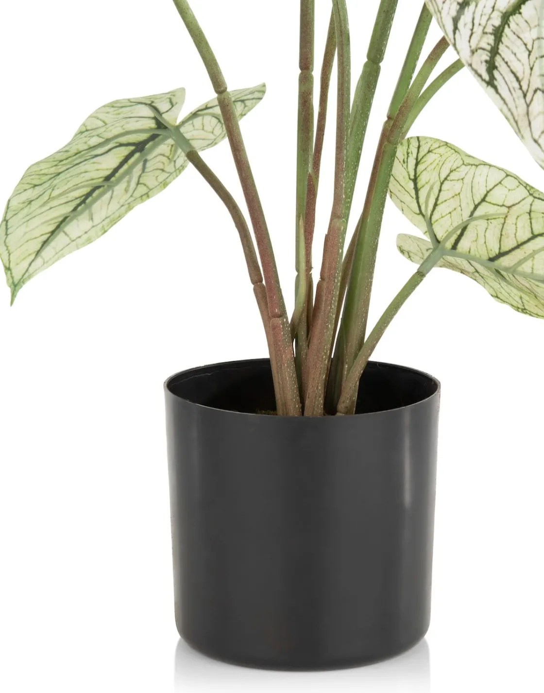 XOOON Caladium H60cm kunstplant in de kleur Groen - COCOmaison^ Woonaccessoires