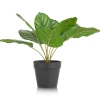 XOOON Calathea Orbifolia H45cm kunstplant in de kleur Groen^ Woonaccessoires