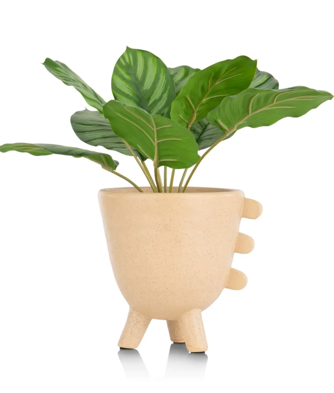 XOOON Calathea Orbifolia H45cm kunstplant in de kleur Groen^ Woonaccessoires