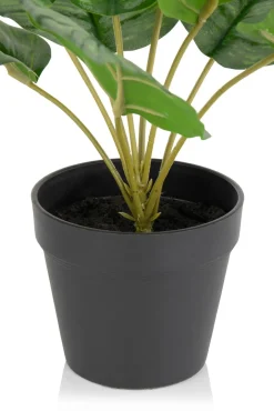 XOOON Calathea Orbifolia H45cm kunstplant in de kleur Groen^ Woonaccessoires