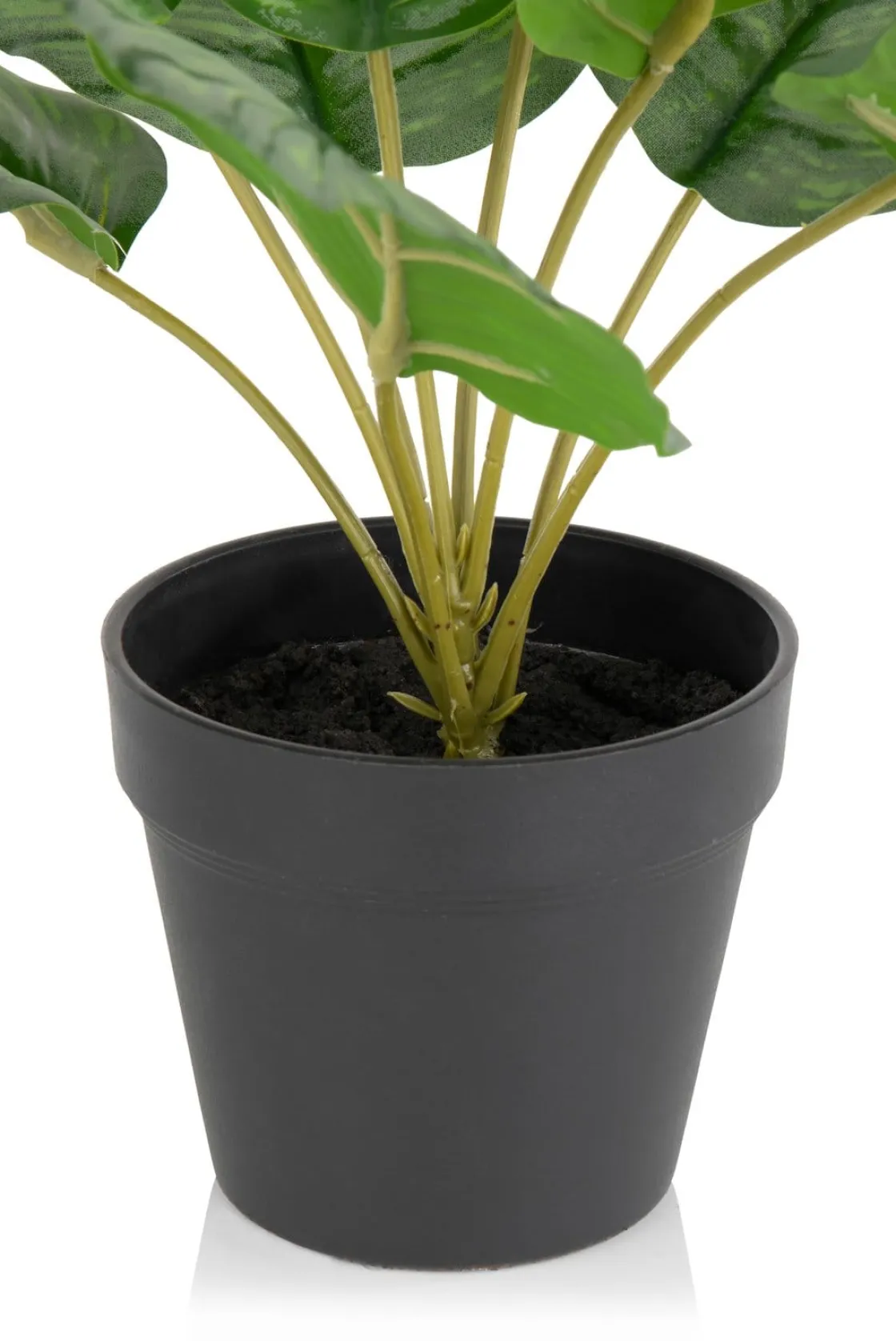XOOON Calathea Orbifolia H45cm kunstplant in de kleur Groen^ Woonaccessoires