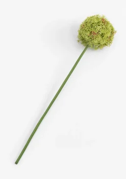 XOOON COCOmaison, Allium spray kunstbloem H90cm - Groen^ Woonaccessoires