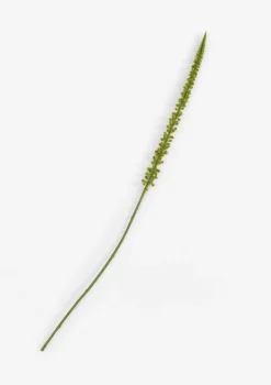 XOOON COCOmaison, Donkey Tail kunstbloem H86cm - Groen^ Woonaccessoires