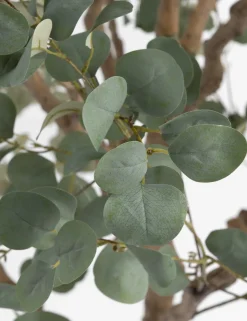 XOOON COCOmaison, Eucalyptus Tree kunstplant H240cm - Groen^ Woonaccessoires