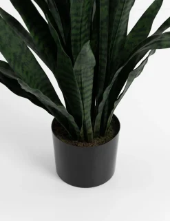 XOOON COCOmaison, Sansevieria kunstplant H115cm - Groen^ Woonaccessoires