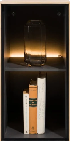 XOOON ELEMENTS box is een hangkast element - 30 cm -^ Wandmeubels
