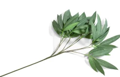 XOOON Eucalyptus branch kunstplant groen H95cm - COCOmaison^ Woonaccessoires