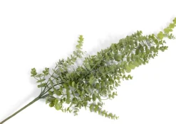 XOOON Eucalyptus Hanging Vine in de kleur Groen - COCOmaison^ Woonaccessoires