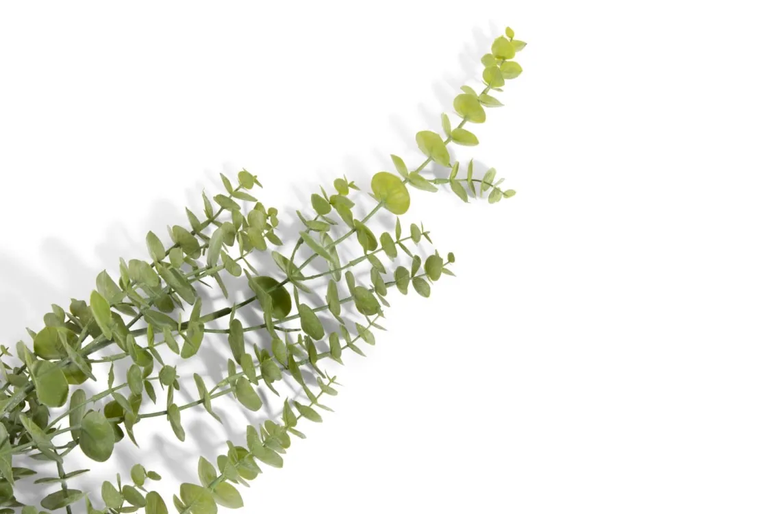 XOOON Eucalyptus Hanging Vine in de kleur Groen - COCOmaison^ Woonaccessoires