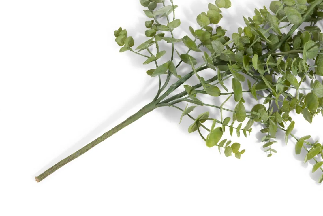 XOOON Eucalyptus Hanging Vine in de kleur Groen - COCOmaison^ Woonaccessoires