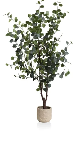 XOOON Eucalyptus Tree kunstplant (H180cm) in de kleur Groen^ Woonaccessoires