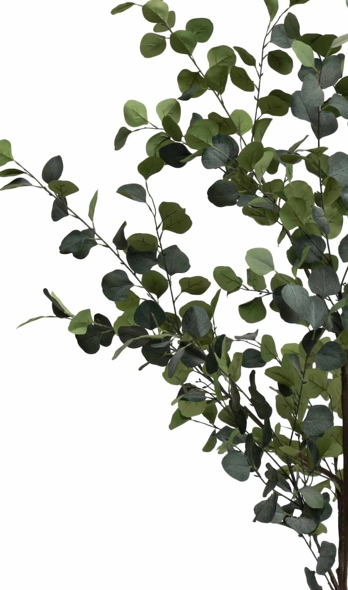 XOOON Eucalyptus Tree kunstplant (H180cm) in de kleur Groen^ Woonaccessoires