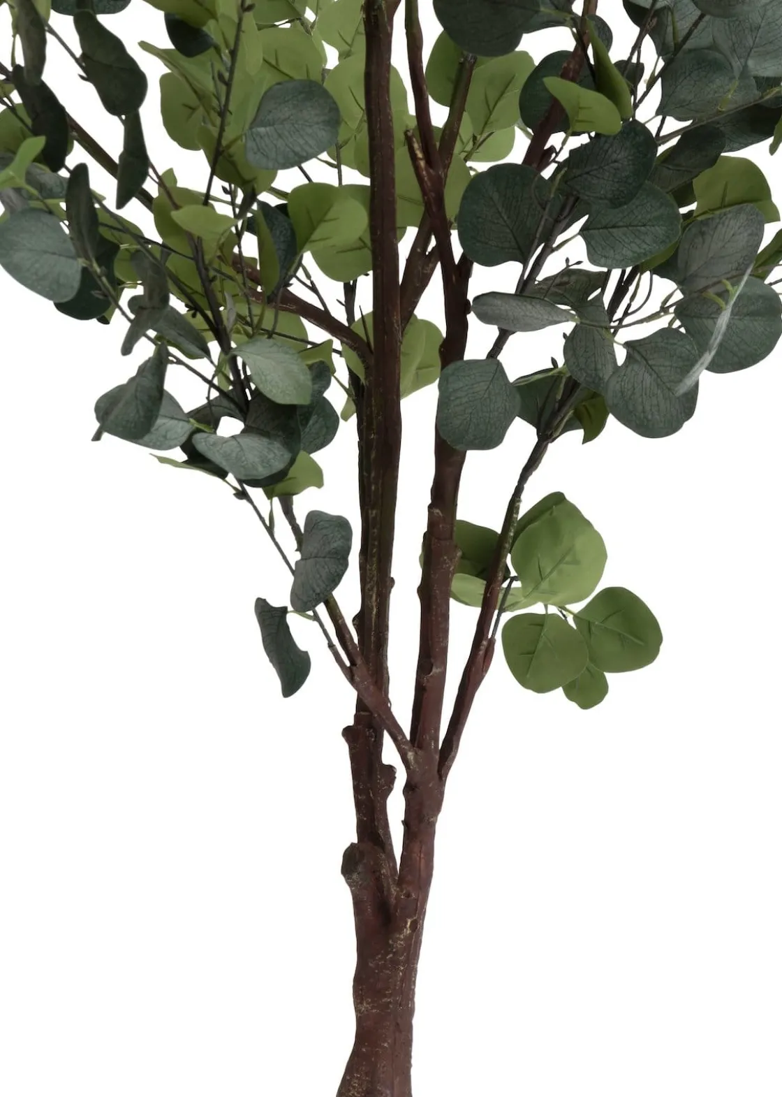 XOOON Eucalyptus Tree kunstplant (H180cm) in de kleur Groen^ Woonaccessoires