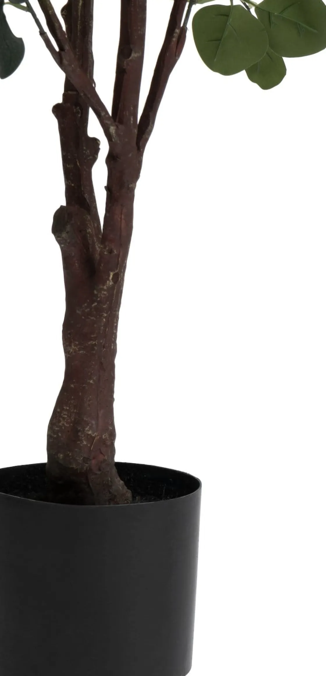 XOOON Eucalyptus Tree kunstplant (H180cm) in de kleur Groen^ Woonaccessoires