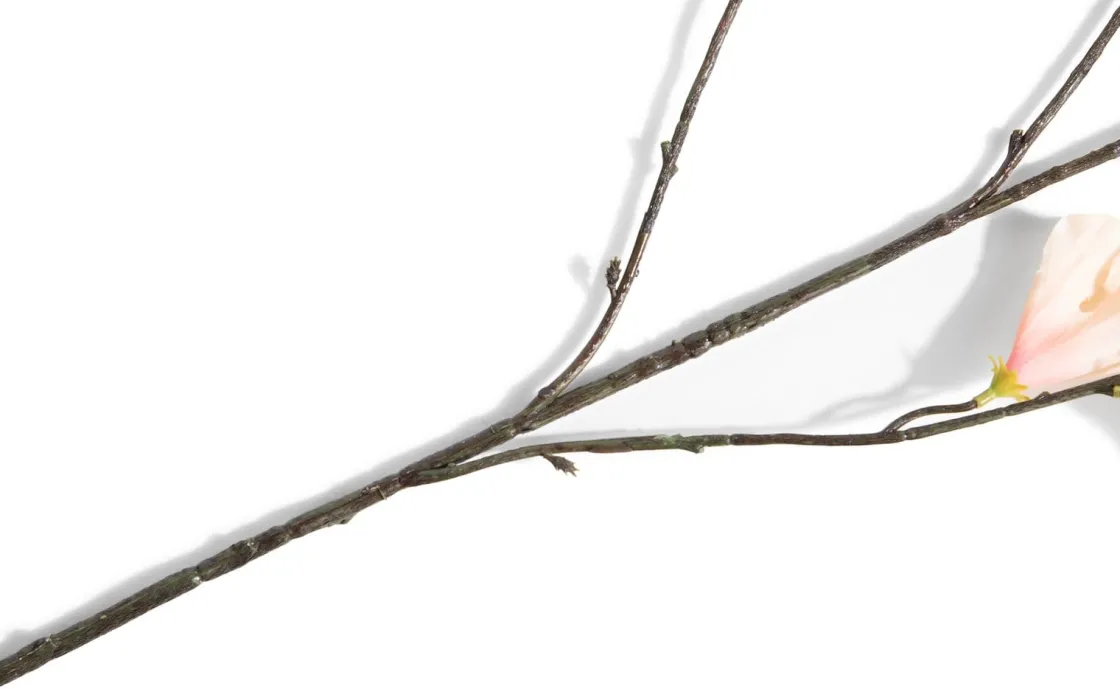 XOOON Hibiscus Branch H115cm kunstbloem in de kleur Oranje^ Woonaccessoires