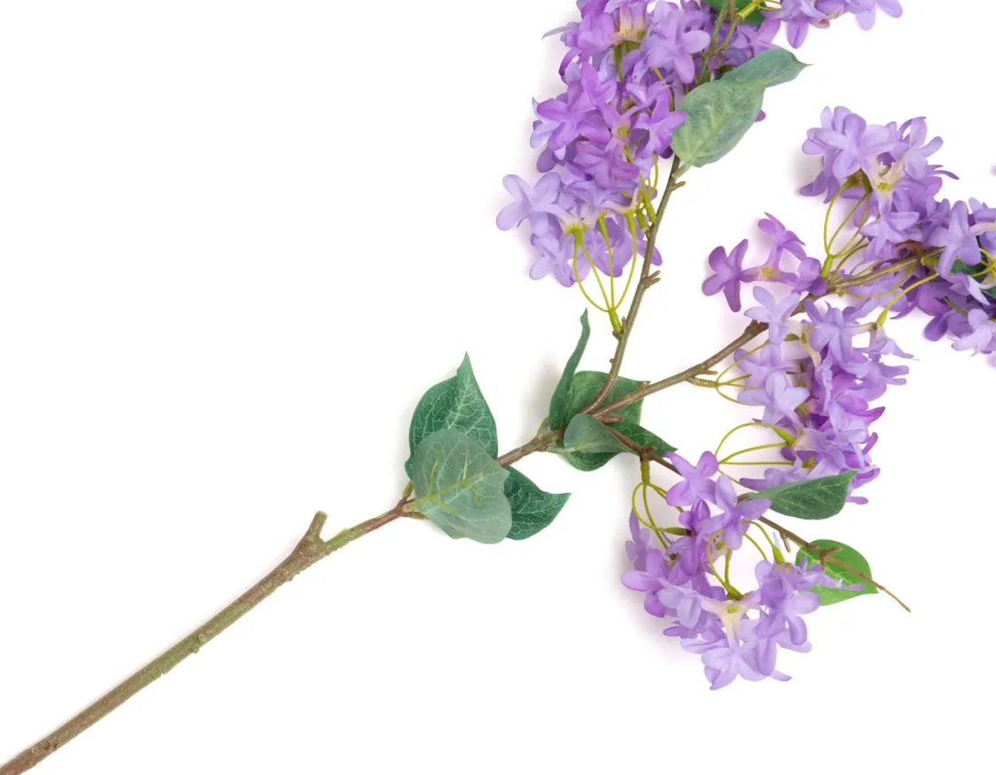 XOOON Jasmin Branch kunstbloem (H115cm) in de kleur Paars^ Woonaccessoires