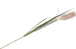 XOOON Kunstbloem h120 cm Pampus Grass | COCOmaison^ Woonaccessoires