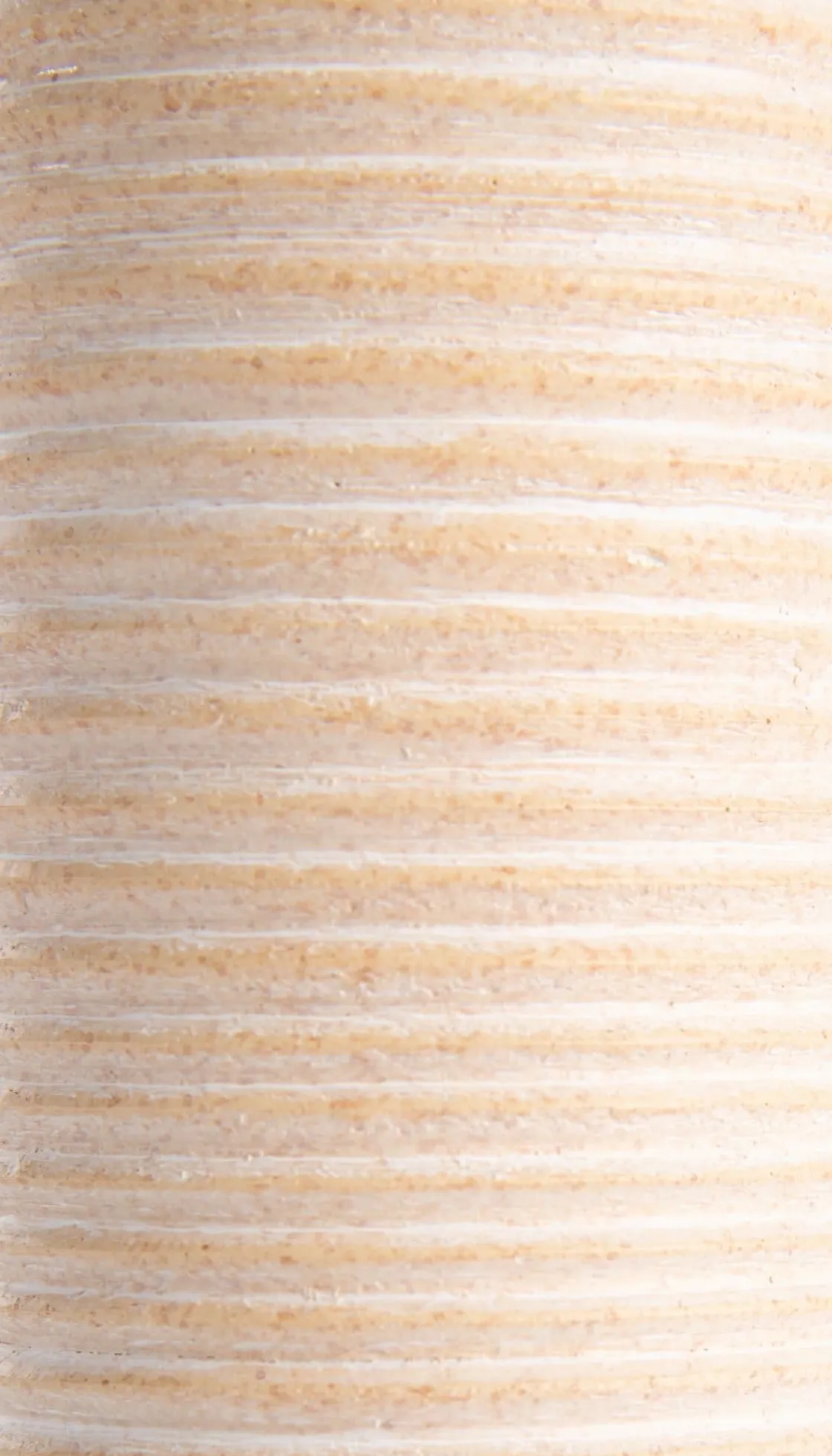 XOOON Nova vaas H19cm in de kleur Oranje - COCOmaison^ Woonaccessoires