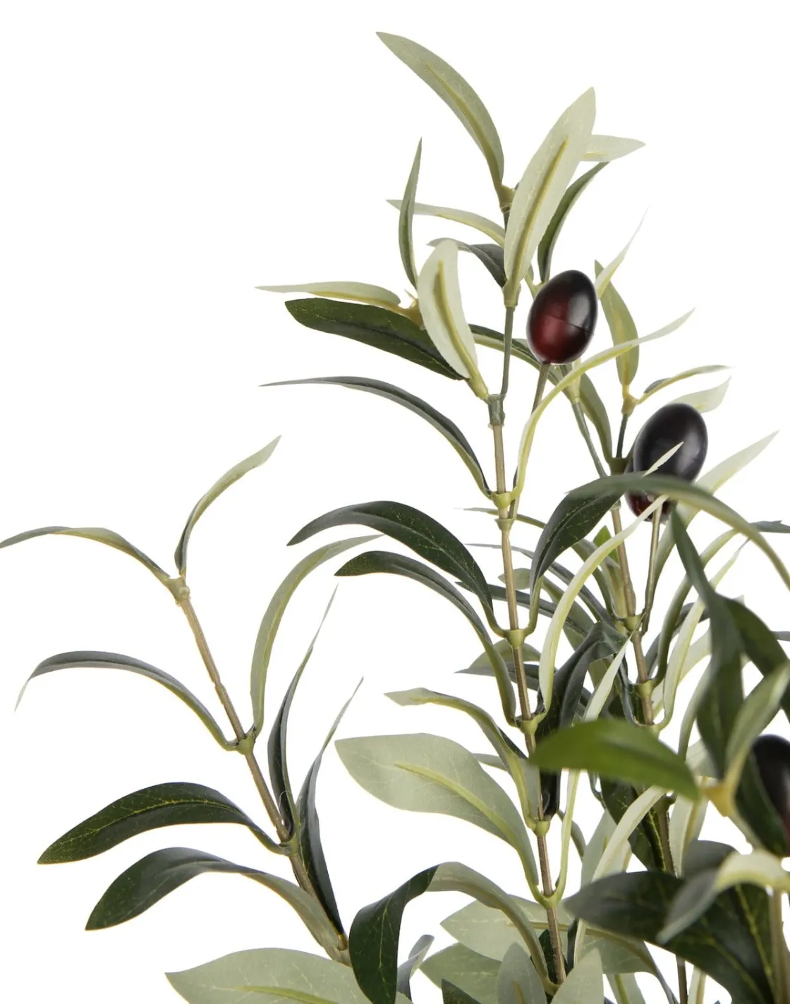 XOOON Olive Tree H180cm kunstplant in de kleur Groen - COCOmaison^ Woonaccessoires