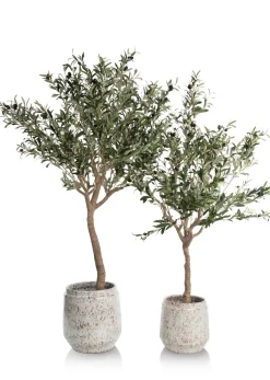 XOOON Olive Tree H180cm kunstplant in de kleur Groen - COCOmaison^ Woonaccessoires
