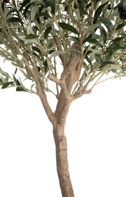 XOOON Olive Tree H180cm kunstplant in de kleur Groen - COCOmaison^ Woonaccessoires