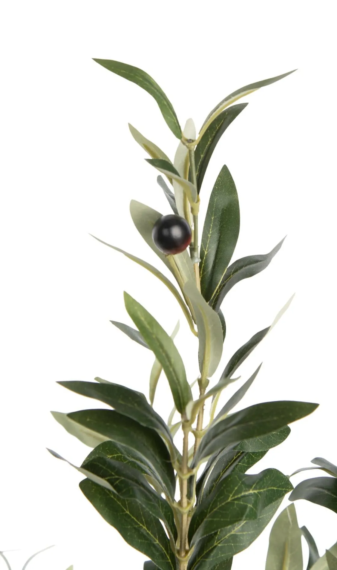 XOOON Olive Tree H180cm kunstplant in de kleur Groen - COCOmaison^ Woonaccessoires
