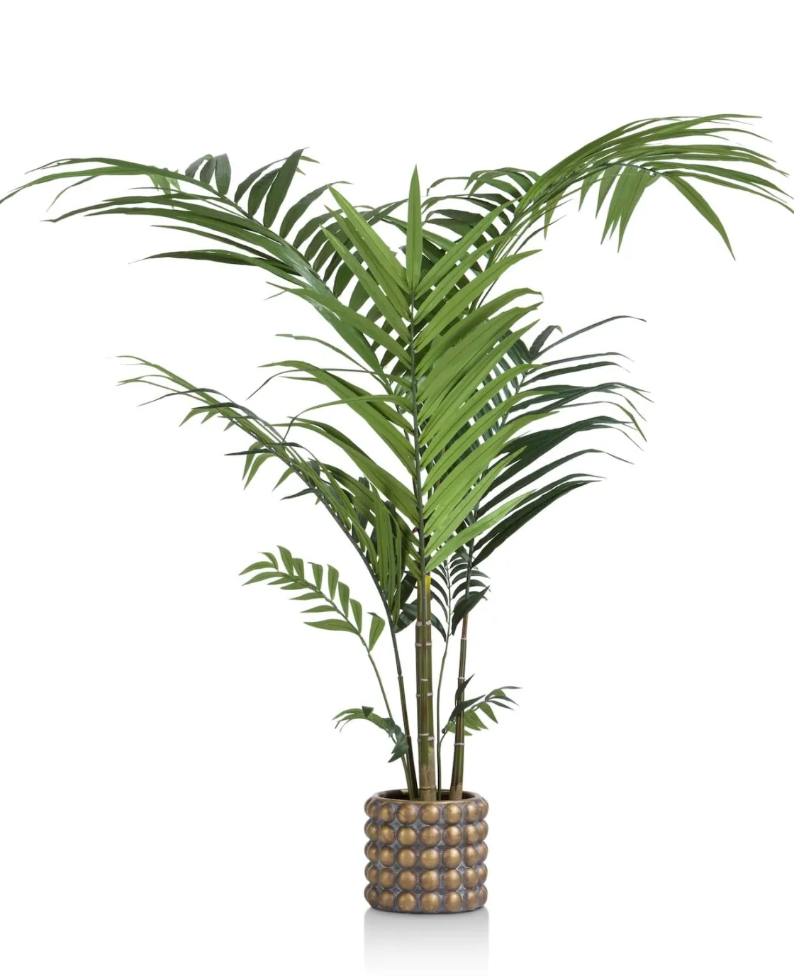 XOOON Palm plant h210 cm Kentia | COCOmaison^ Woonaccessoires