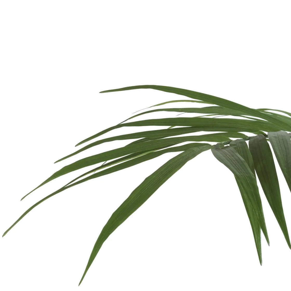 XOOON Palm plant h210 cm Kentia | COCOmaison^ Woonaccessoires