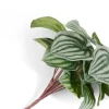 XOOON Peperomia Bush H25cm kunstbloem in de kleur Groen - COCOmaison^ Woonaccessoires