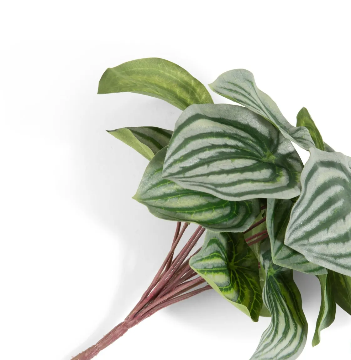 XOOON Peperomia Bush H25cm kunstbloem in de kleur Groen - COCOmaison^ Woonaccessoires