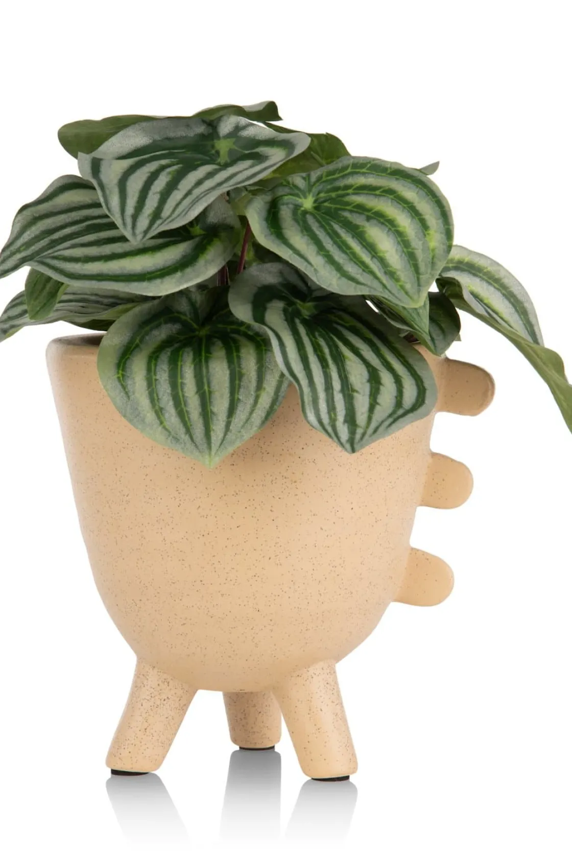 XOOON Peperomia Bush H25cm kunstbloem in de kleur Groen - COCOmaison^ Woonaccessoires