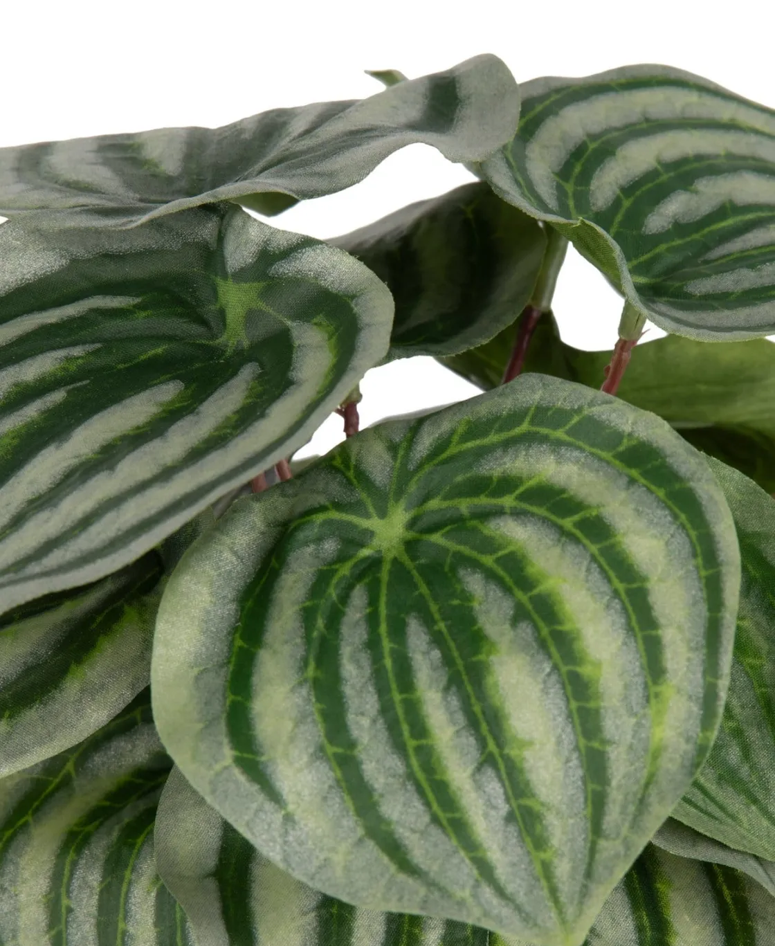 XOOON Peperomia Bush H25cm kunstbloem in de kleur Groen - COCOmaison^ Woonaccessoires