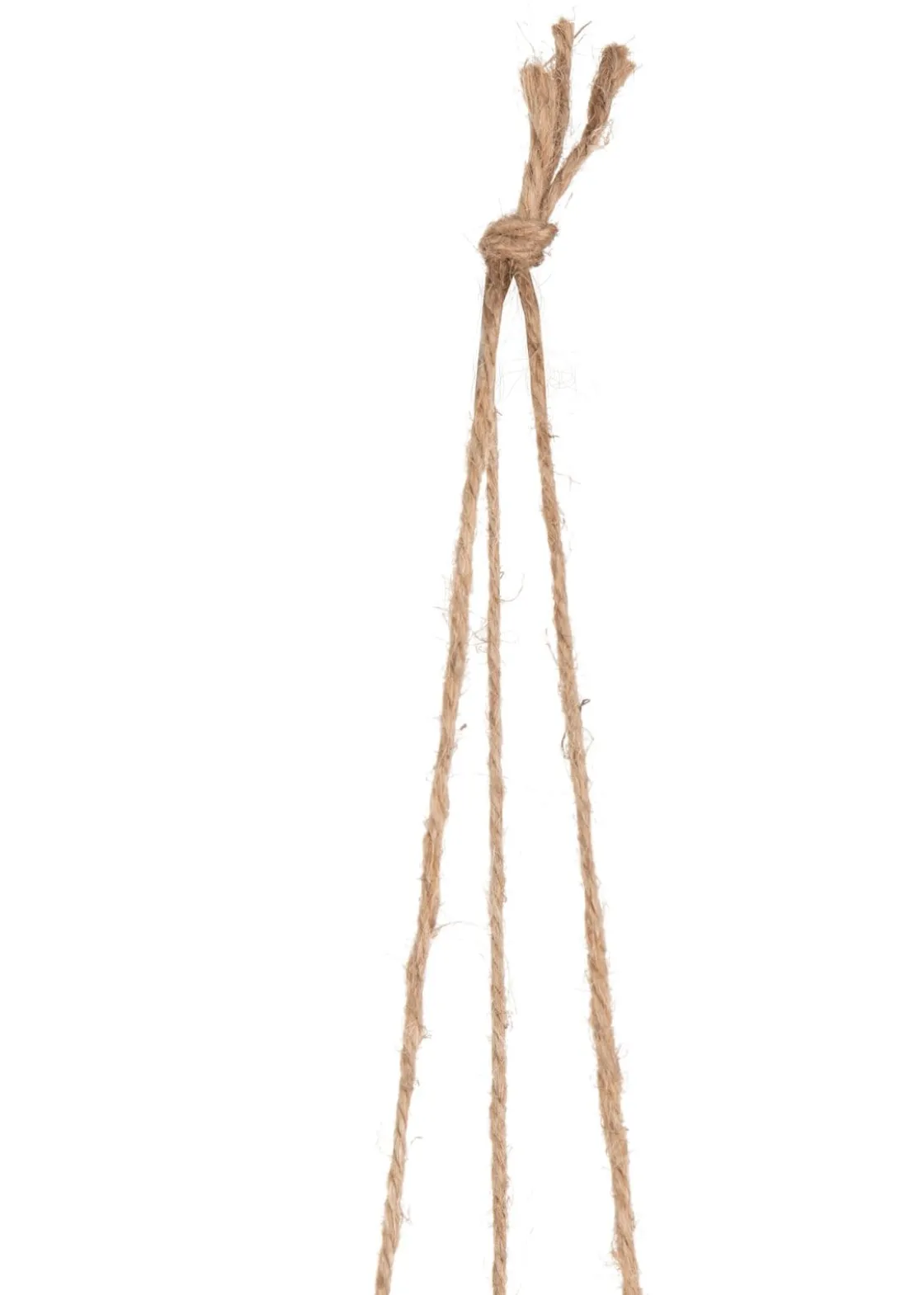 XOOON Philodendron Scandens H80cm in de kleur Groen - COCOmaison^ Woonaccessoires