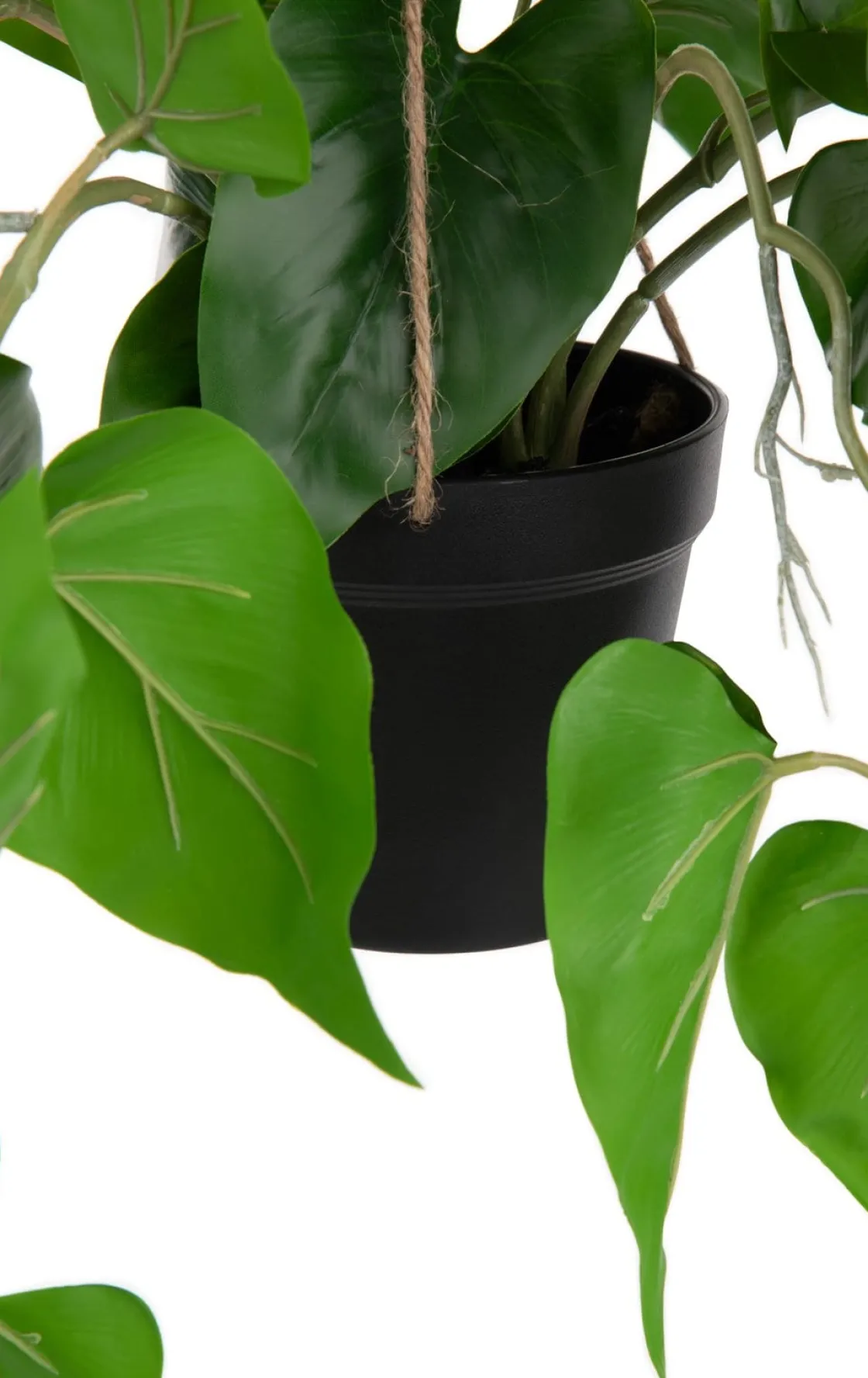 XOOON Philodendron Scandens H80cm in de kleur Groen - COCOmaison^ Woonaccessoires