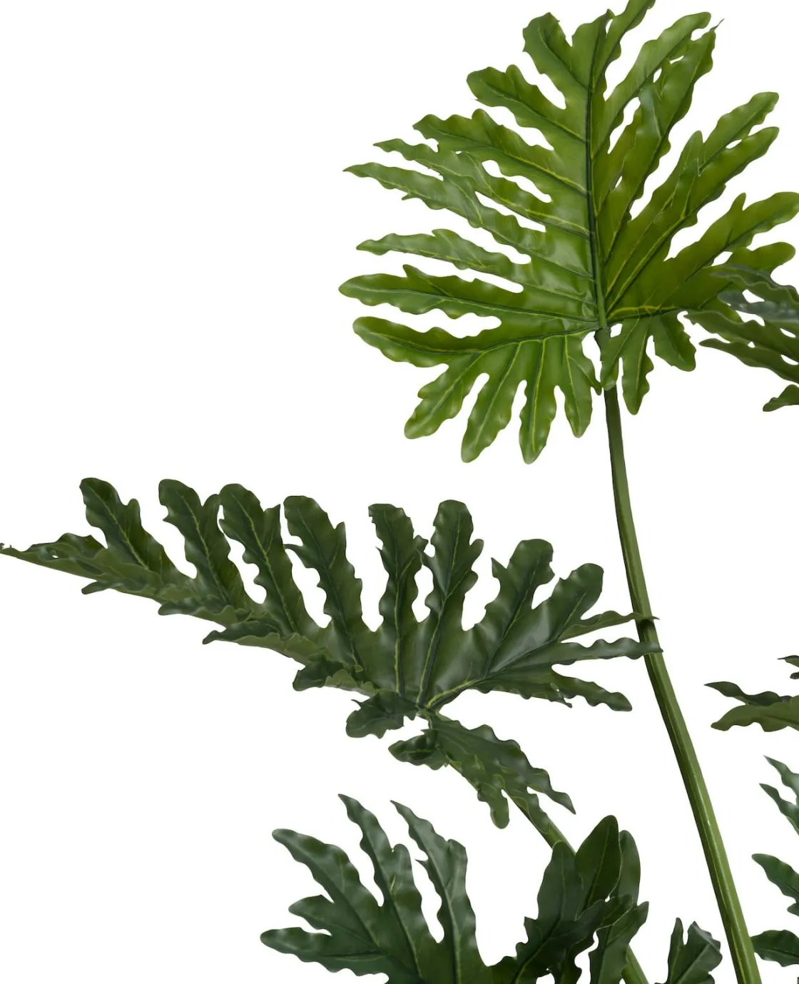 XOOON Philodendron Selloum kunstplant (H125cm) in de kleur Groen^ Woonaccessoires