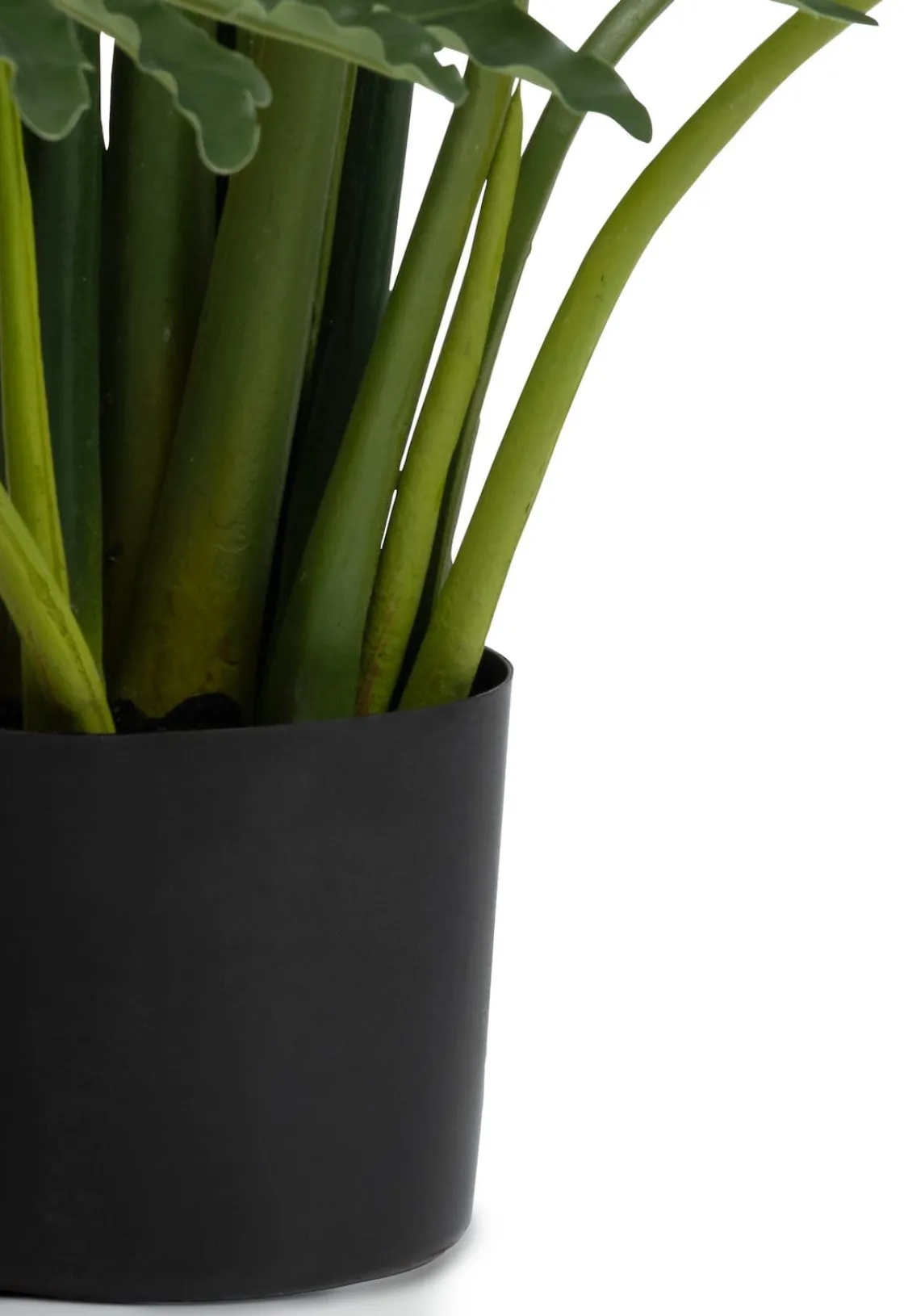 XOOON Philodendron Selloum kunstplant (H125cm) in de kleur Groen^ Woonaccessoires