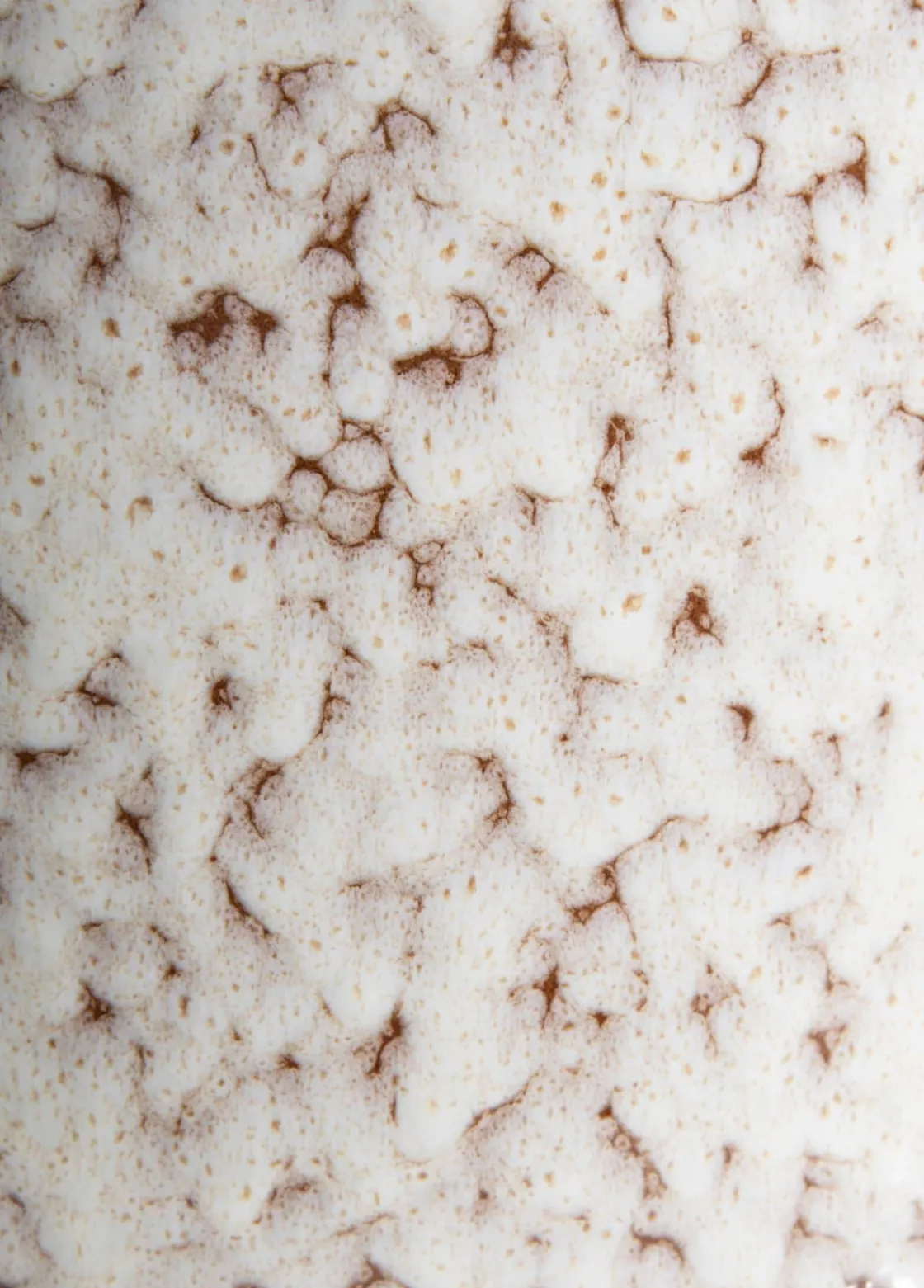 XOOON Safia vaas H21cm in de kleur Beige - COCOmaison^ Woonaccessoires