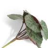 XOOON Saxifrage Mini Bush H13cm kunstbloem in de kleur Groen^ Woonaccessoires